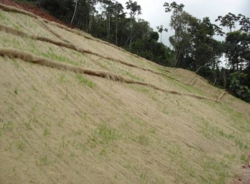 Biomanta de fibra de coco, NTC Brasil
